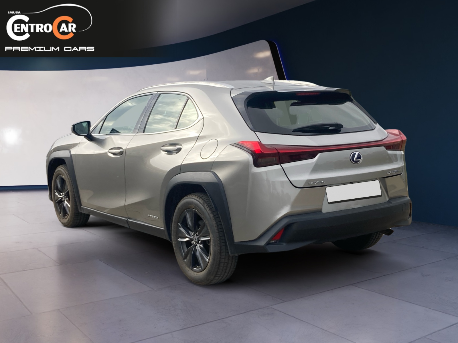 No hay imagen establecida